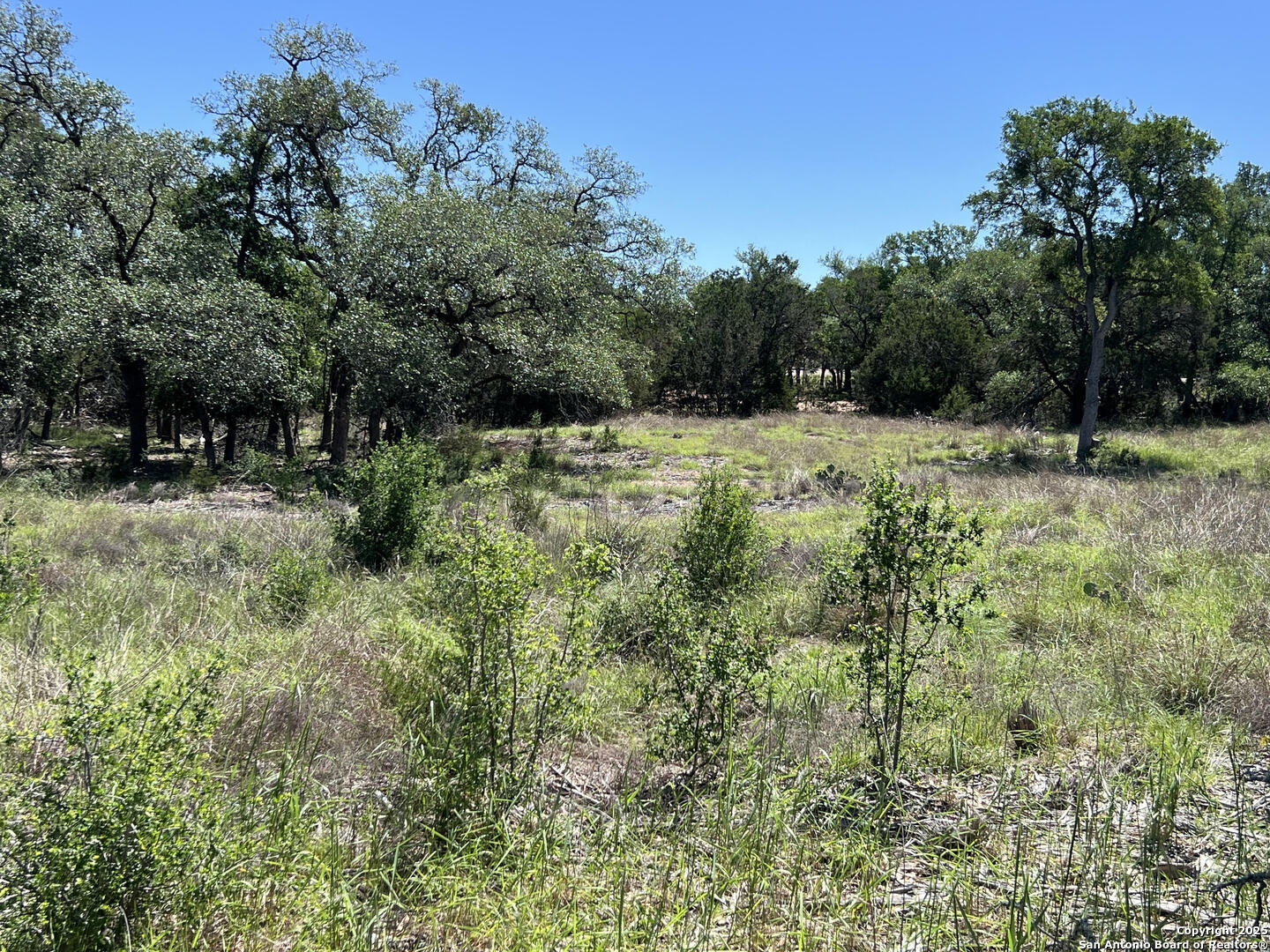 Property Photo: 287 Curvatura TX 78132