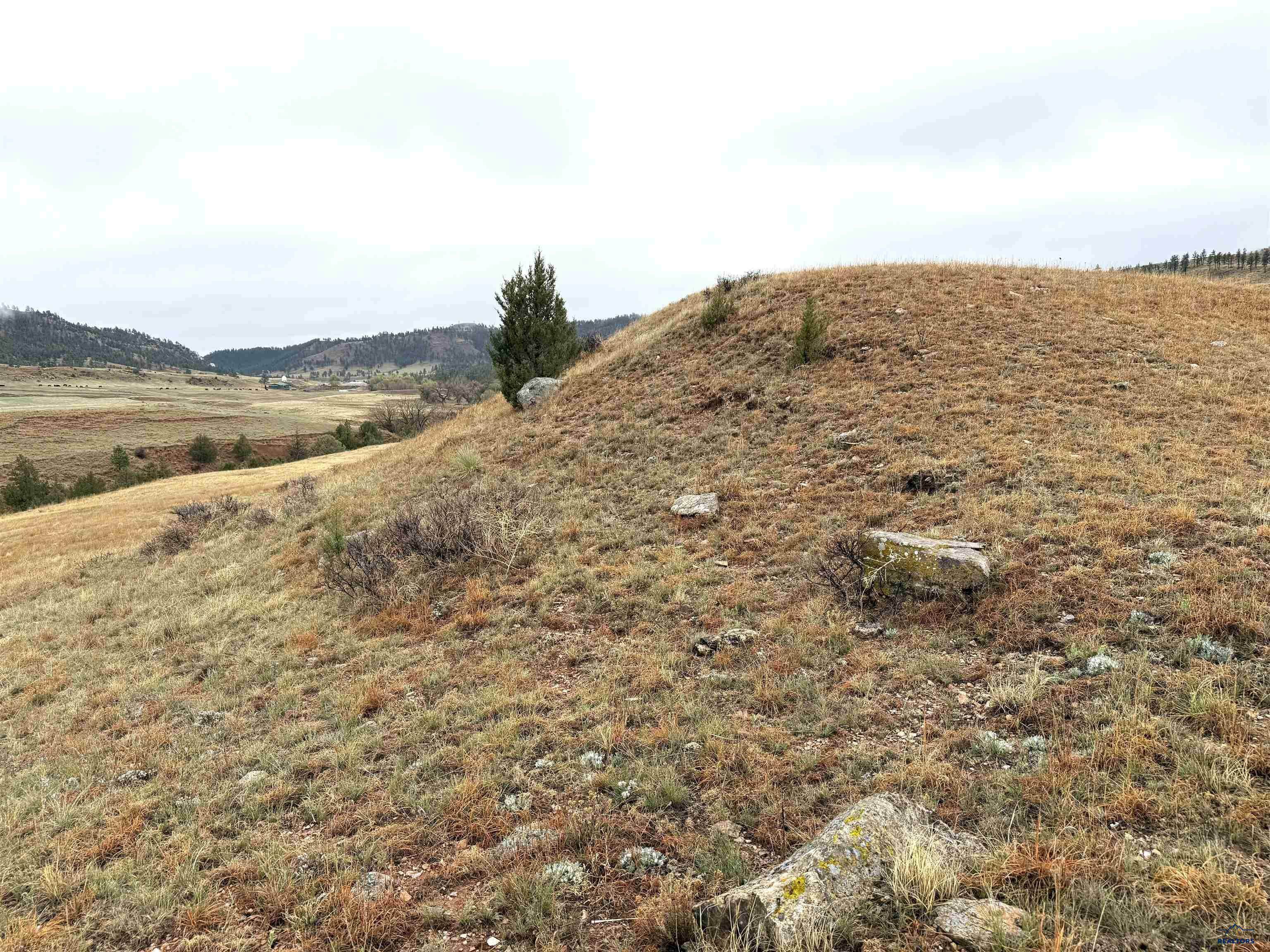 Property Photo: Tbd Morning Star Rd SD 57747-0000
