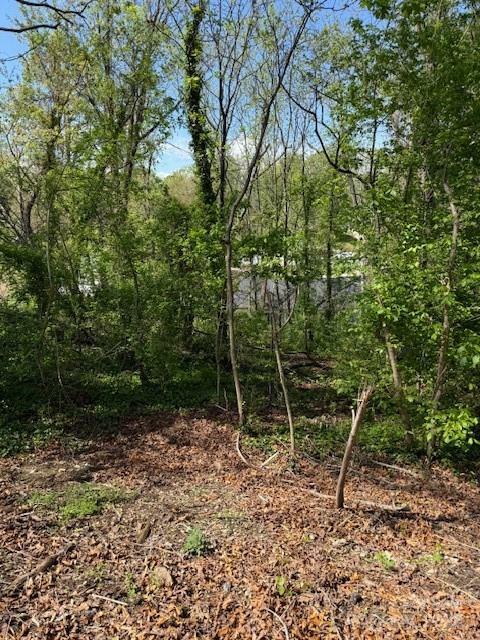 99999 Reese Street  Woodfin NC 28804 photo