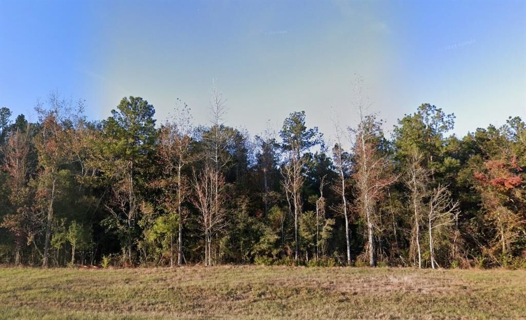 Property Photo:  Lot 9 - Tbd 28 West Highway  LA 71409 