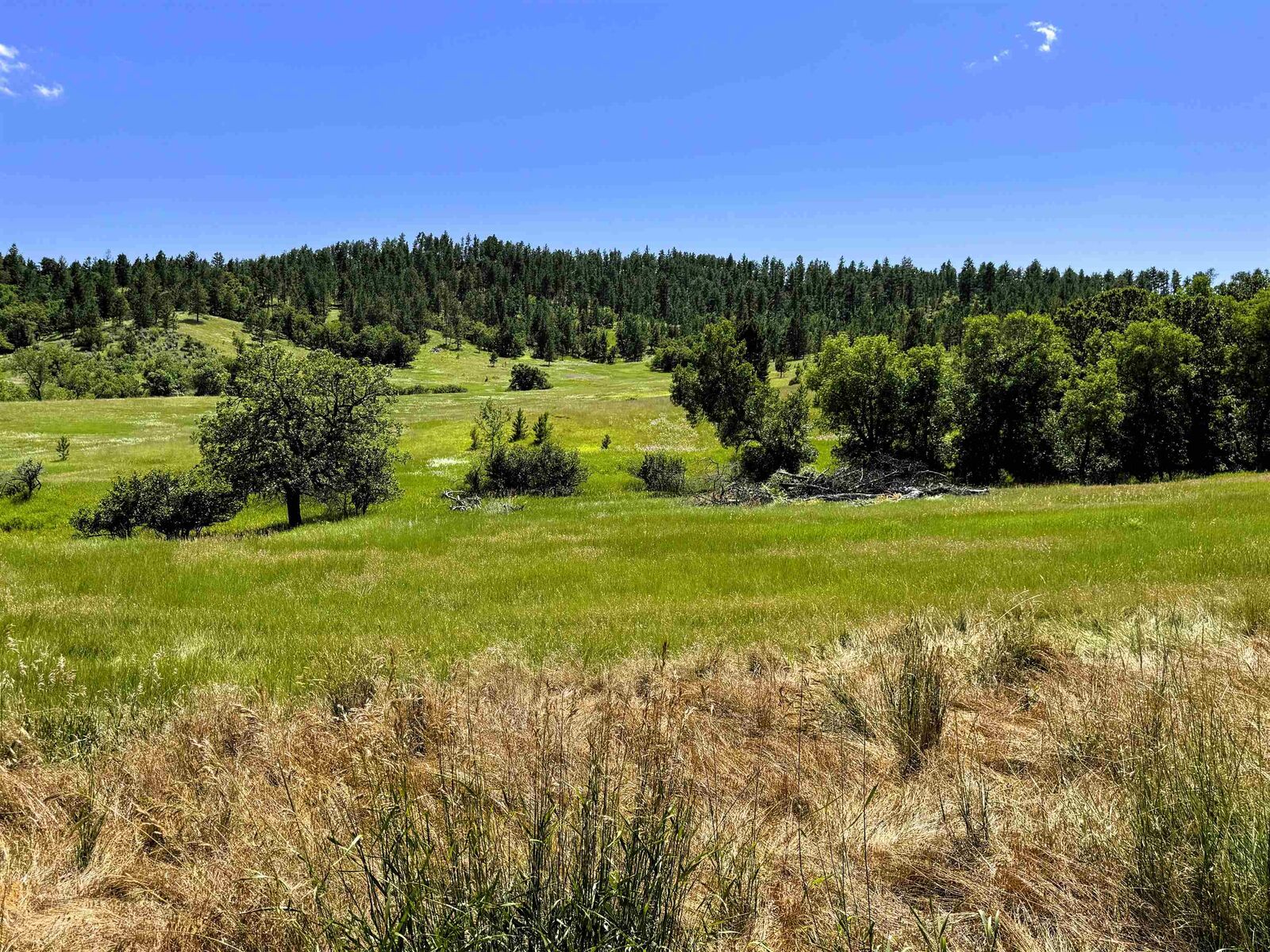 Property Photo: E15 Soaring Eagle Road WY 82720