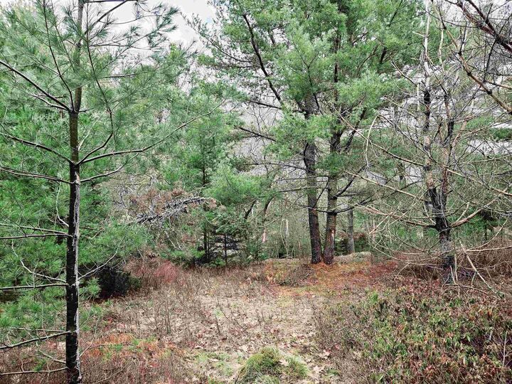 Property Photo:  Lot 13 Maple Drive  NS B0T 1W0 