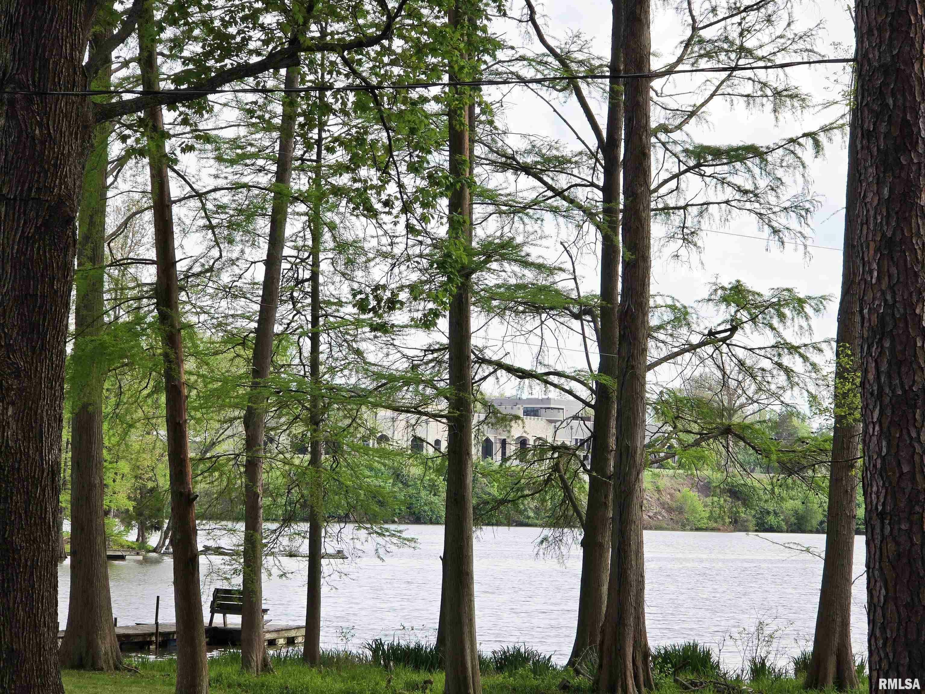 Property Photo: 1831 Duck Lane IL 62801
