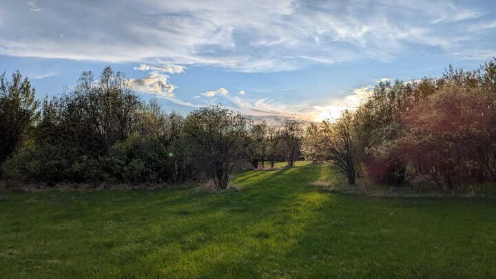 Property Photo:  70420 Range Road 245 Road 4  AB T0H 0Y0 