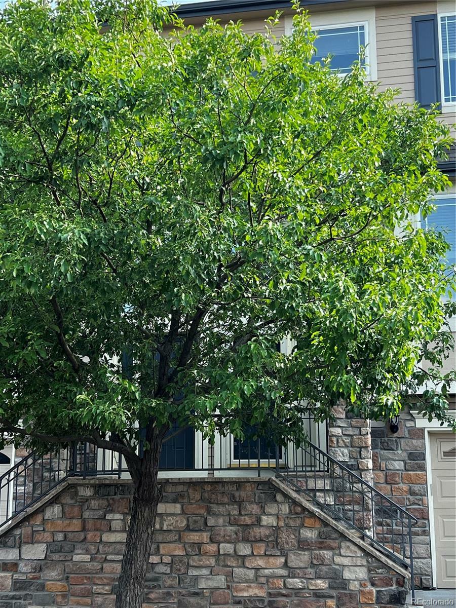 Property Photo: 11328 W Radcliffe Drive CO 80127