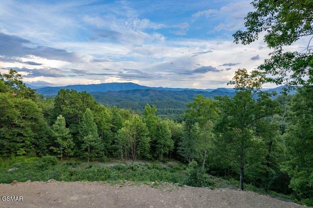 Property Photo: 3065 Summit Trails Drive TN 37862