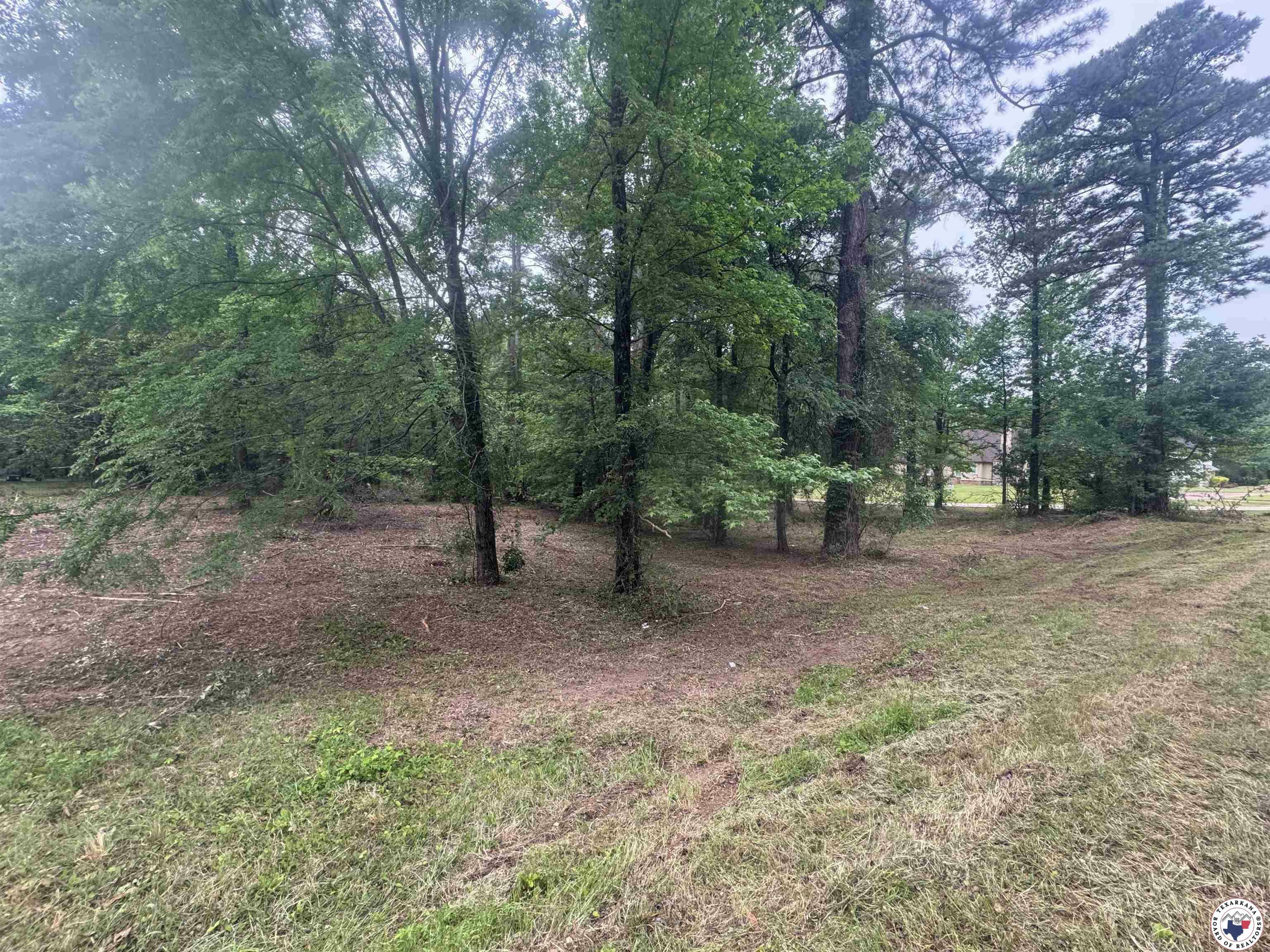 Property Photo: 0 Holly Creek Rd. TX 75503