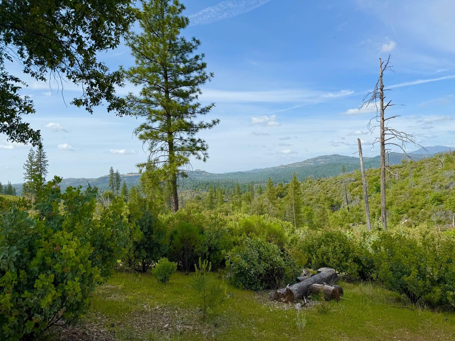Property Photo: 0 Fricot City Rd CA 95246