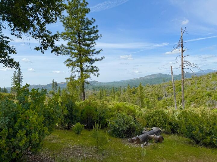 Property Photo:  0 Fricot City Rd  CA 95246 