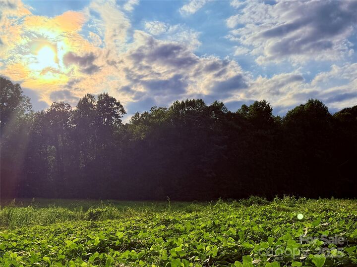 Property Photo: 00 Bill Collins Road NC 28756