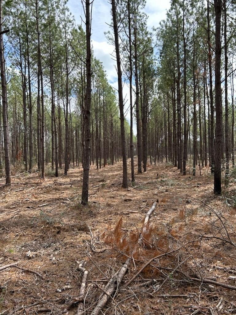 Property Photo: Tract 5 Lloyd Walker Road TX 75949