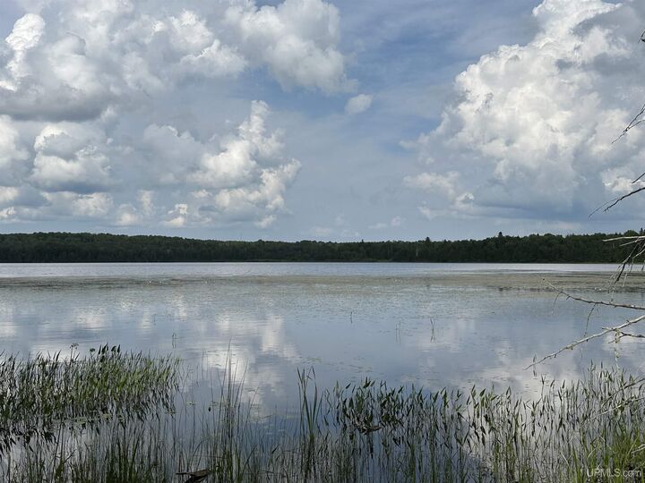 Property Photo:  Off Forest 8300 Road  MI 49947 