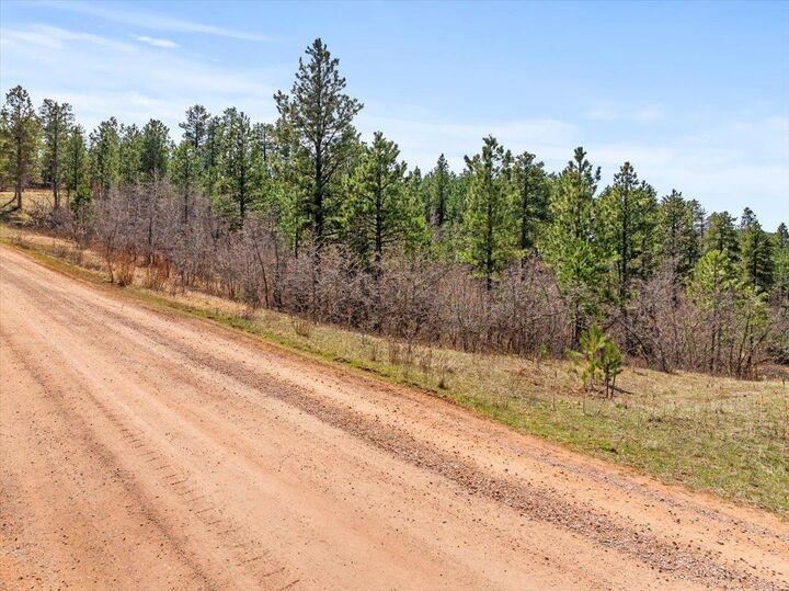 Property Photo: Lot 3 Tanager Court SD 57783