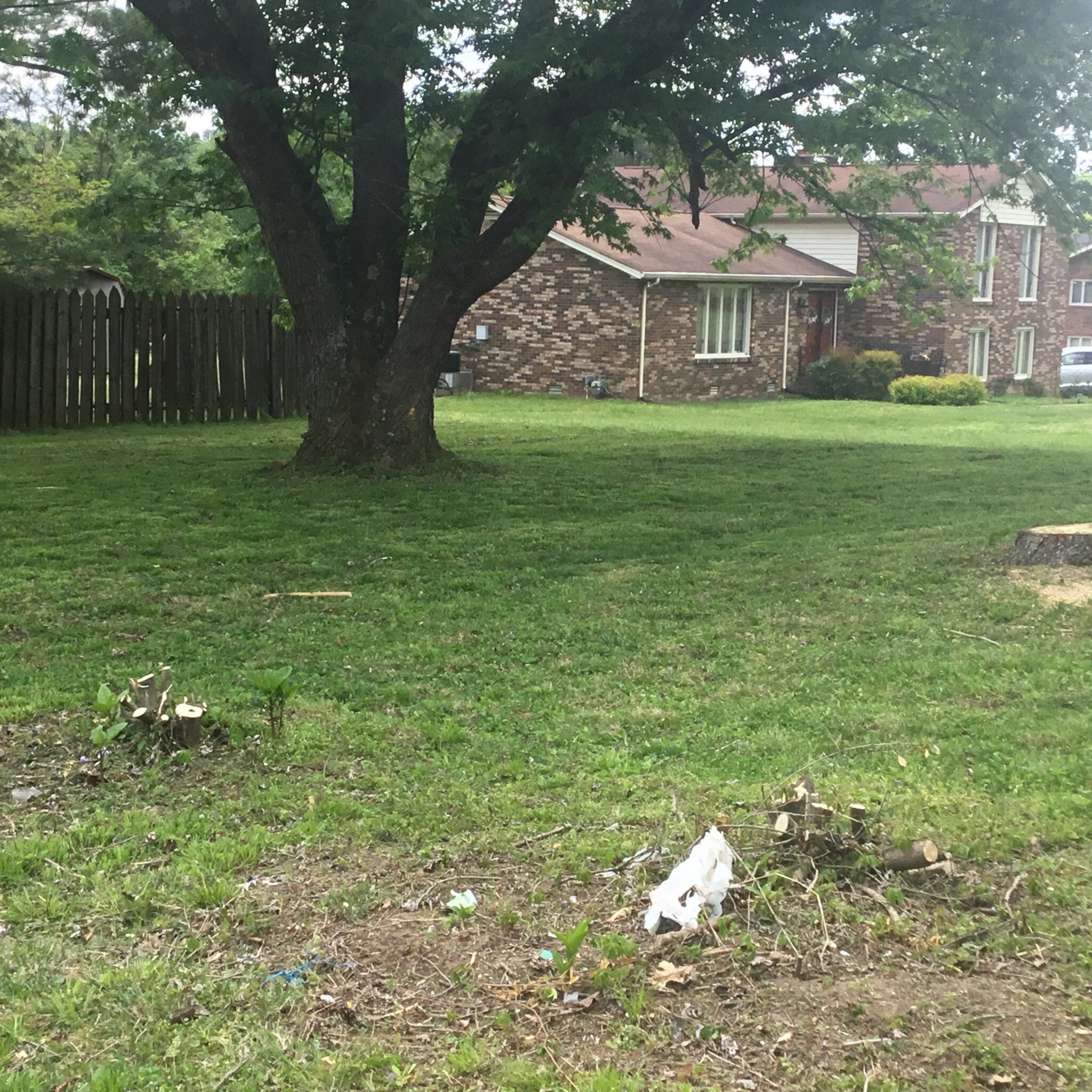 Property Photo: 1401 Bellavista Blvd TN 37207