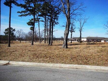Property Photo:  43 Park Drive  AR 72631 