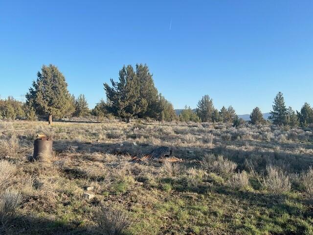 Property Photo: 46038 Deer Springs Road Lot 4 OR 97621