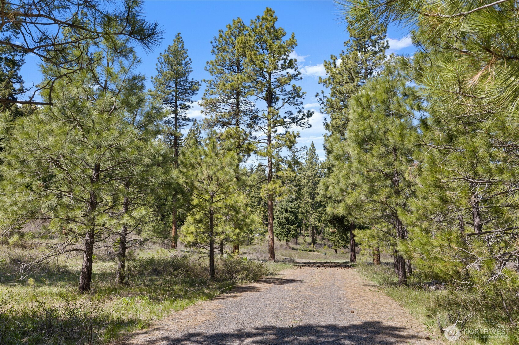 401  Hazelnut Lane  Cle Elum WA 98922 photo