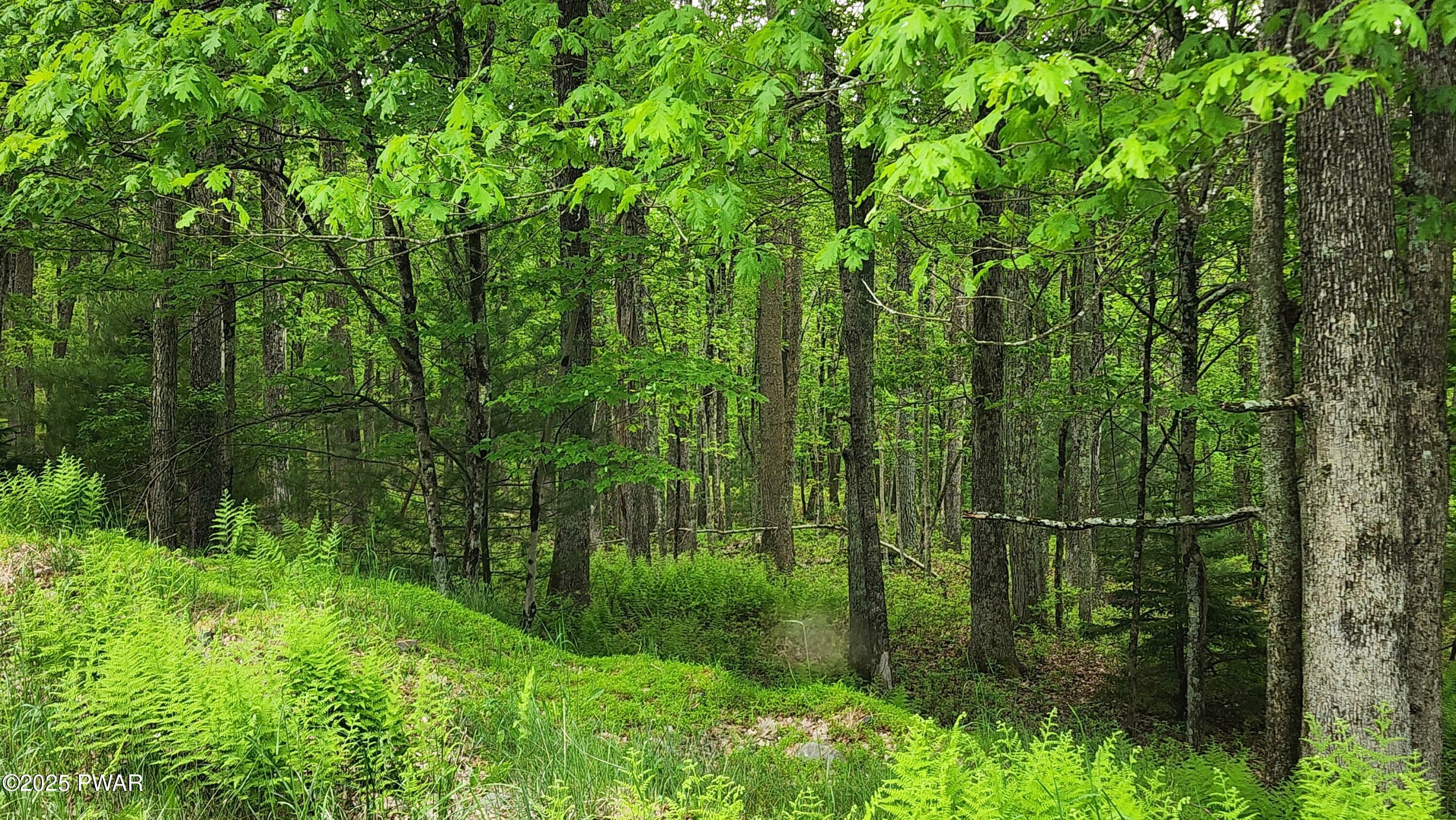Property Photo: Lot 9 Lynric Court PA 18458