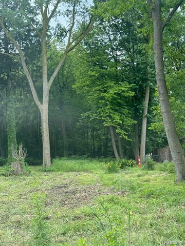 24960 Crocker Boulevard  Harrison Twp MI 48045 photo