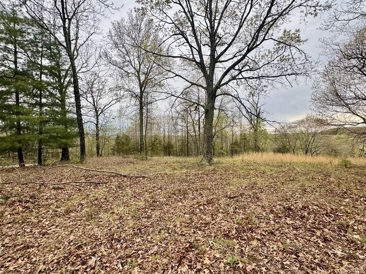 Property Photo:  Tbd State Highway U  MO 65704 