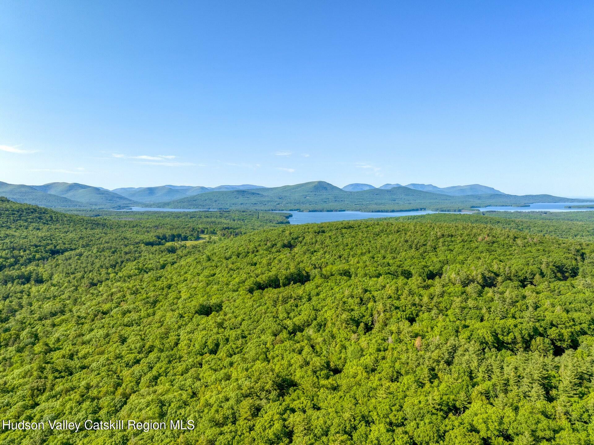 Property Photo: 291 Acorn Hill NY 12461
