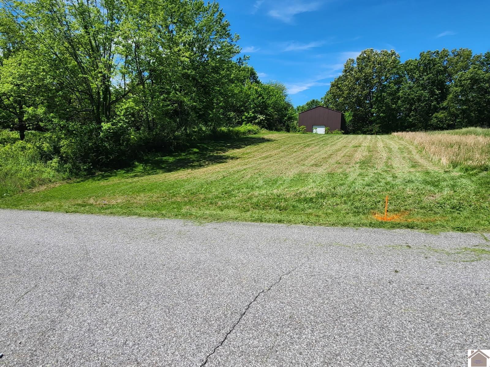 Property Photo:  668 Hawkeye Rd  KY 42044 