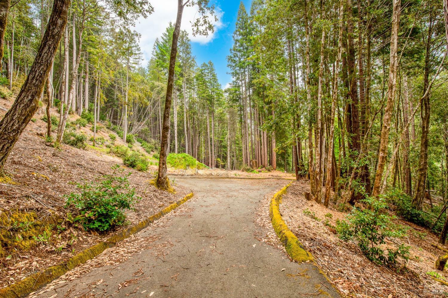 Property Photo: 22090 Lyons Court CA 95450