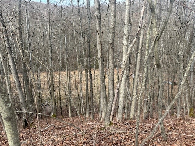 Cr-126  Greenwood NY 14839 photo