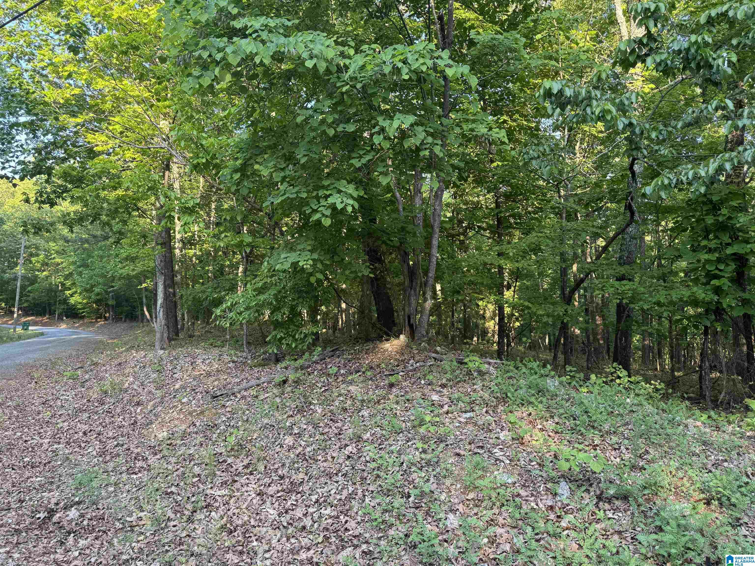 Property Photo: 0 Davis Acres Drive 72 &Amp 73 AL 35014
