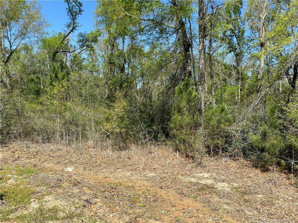 Property Photo: 0 Robinwood Drive E LA 70611