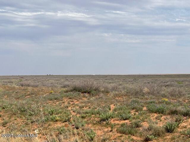 Property Photo:  0000 County Road 460  TX 79316 