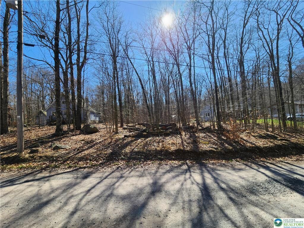 Property Photo:  284 Delaware Trail  PA 18347 