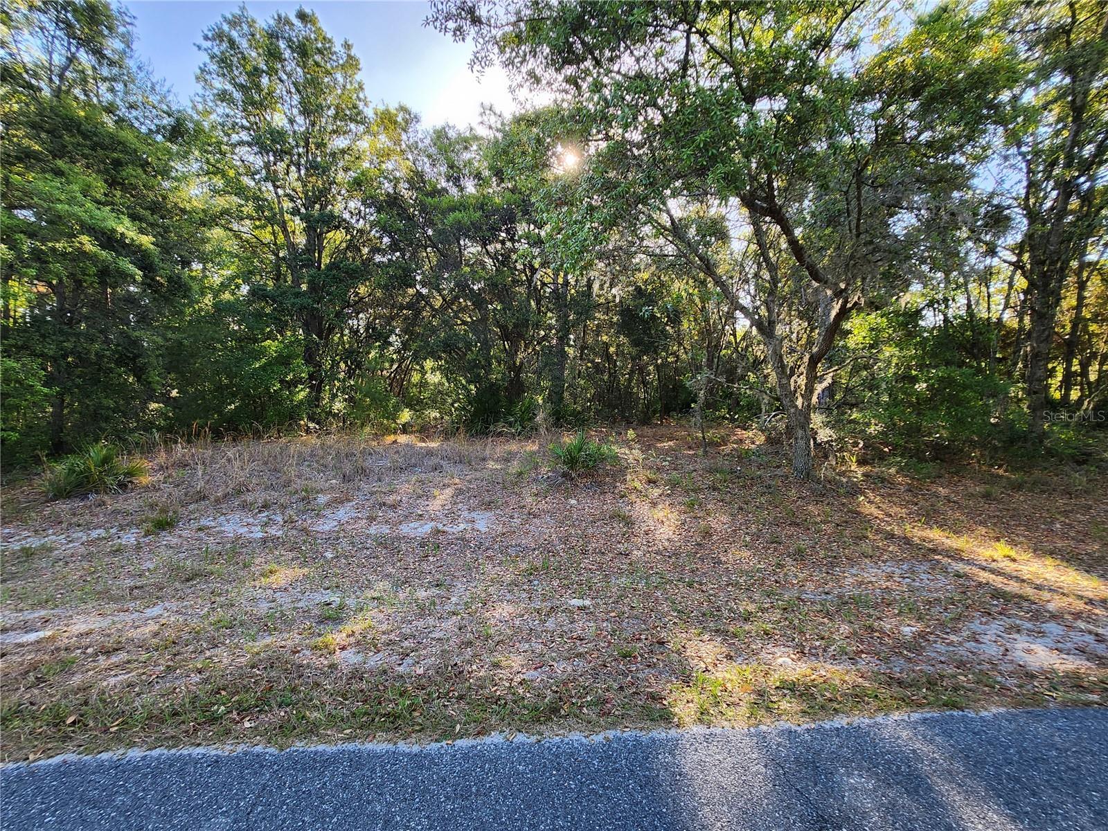 Property Photo: Tbd SW 68th Avenue FL 34473