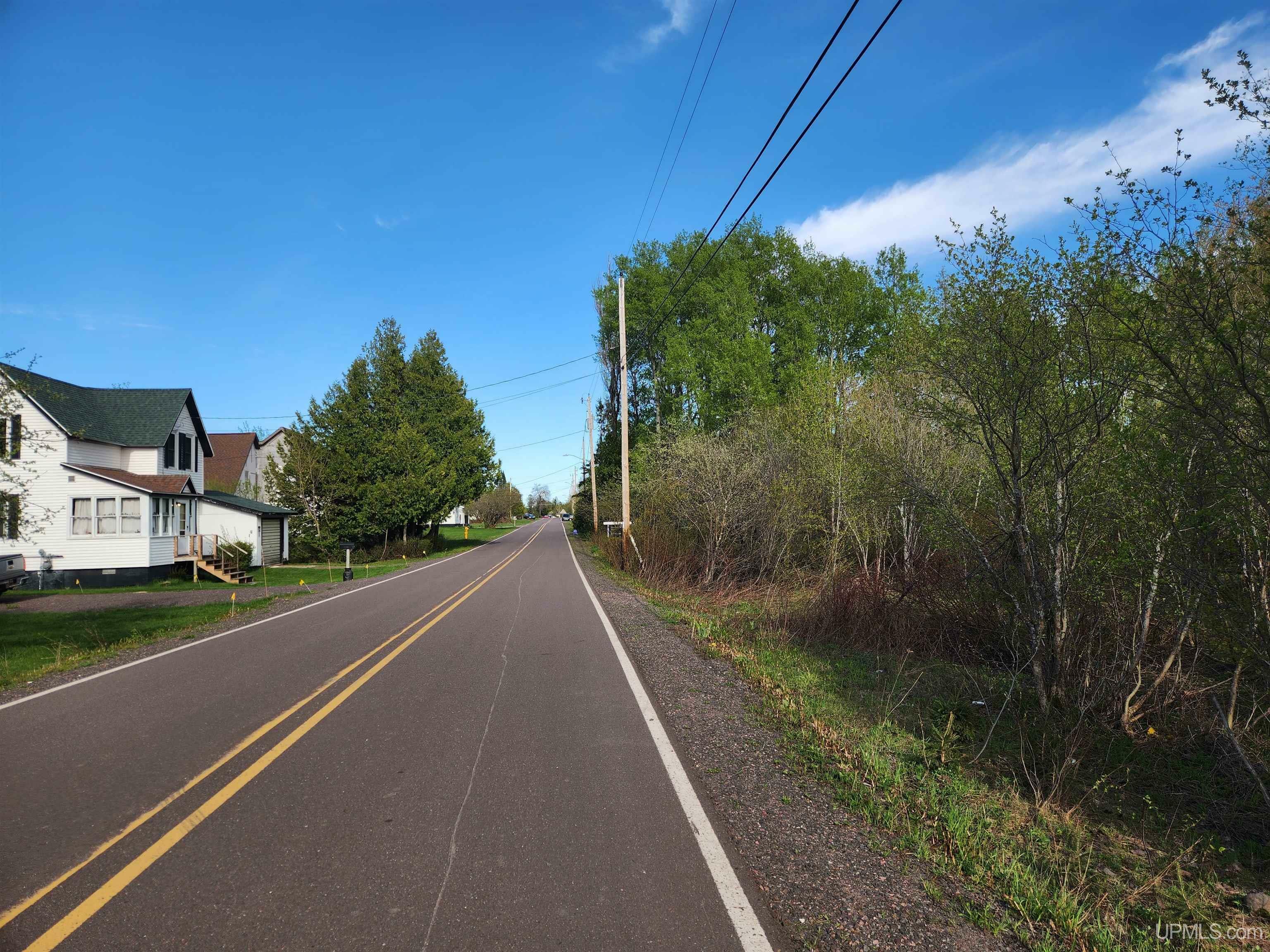 Property Photo: Tbd Part Lot 39 Millionaire Street MI 49913