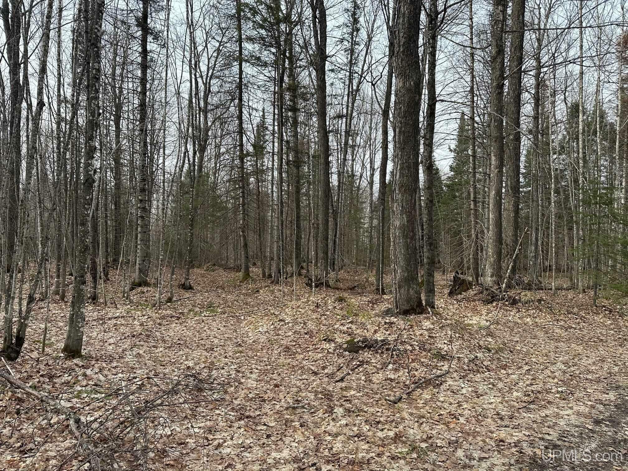 Property Photo: Tbd County Rd Af (Black Hill Street) Road MI 49814-9767