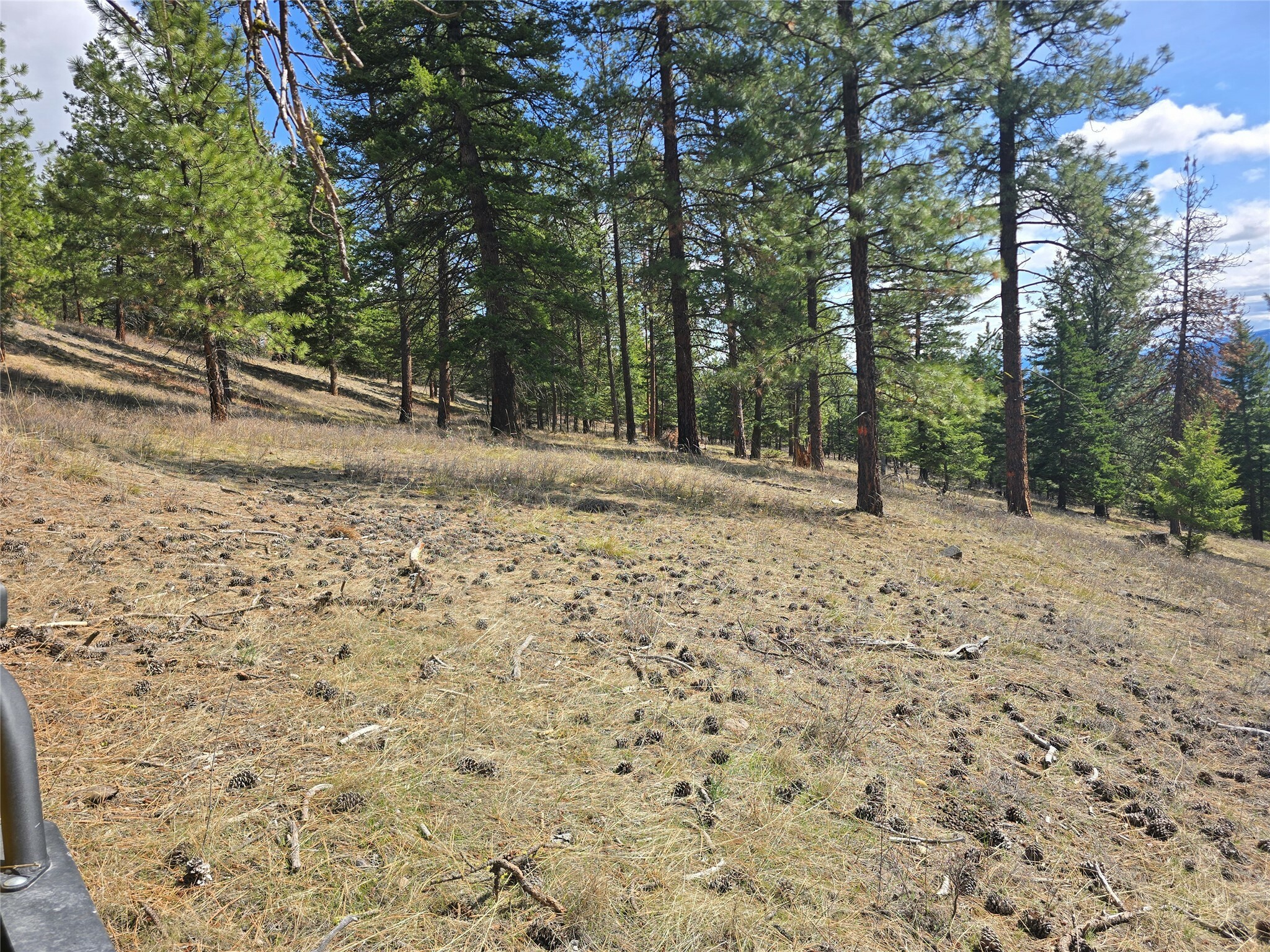 Property Photo: Nhn . MT 59834