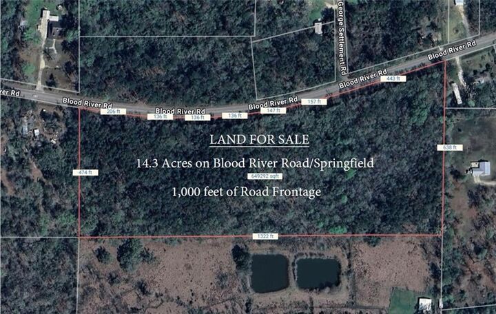 Blood River Road  Springfield LA 70462 photo