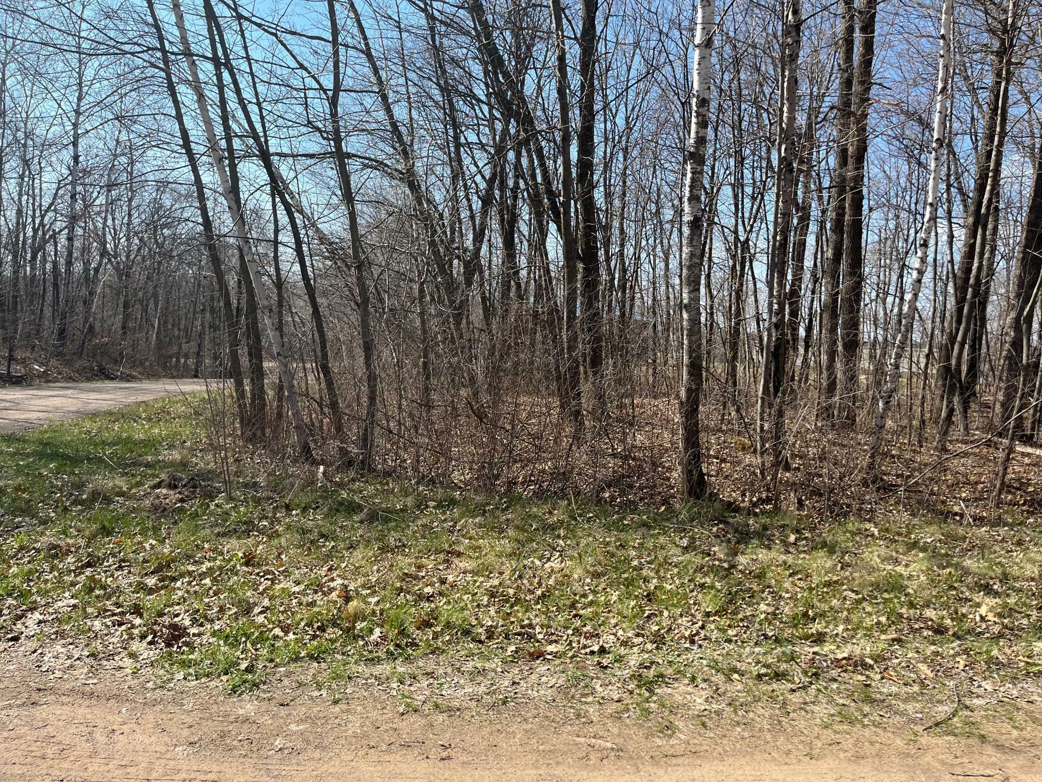 Property Photo: Lot 1 Block 12 MN 56450