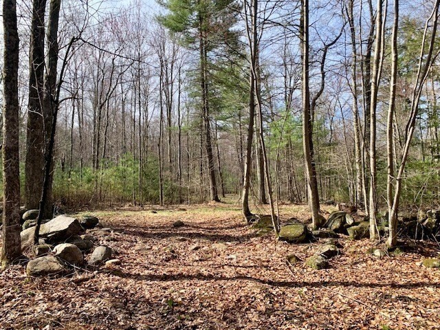 Property Photo: 86 W Elm, Lunenburg Rd, Blood Rd MA 01469