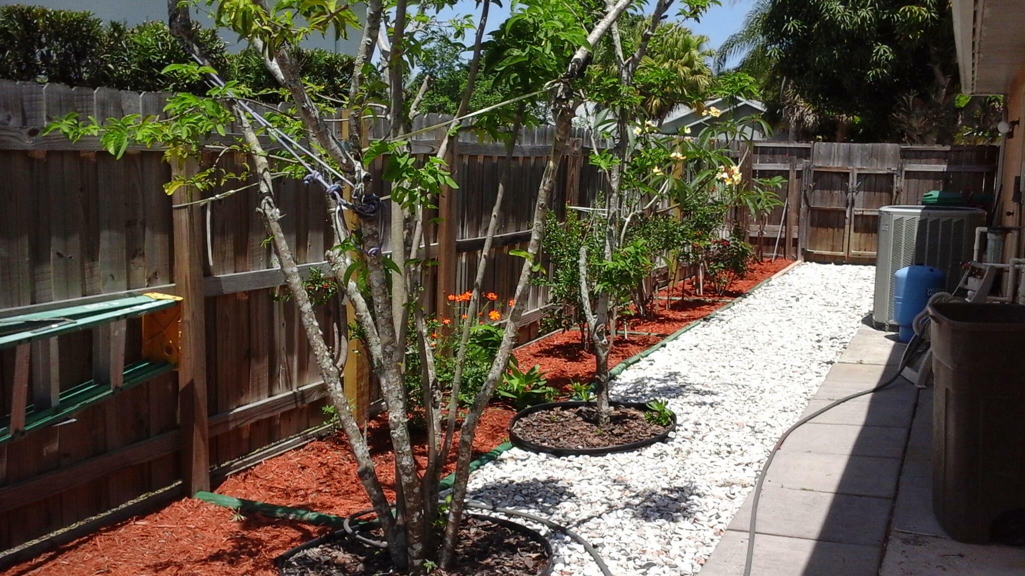Property Photo: 1359 Damask Lane FL 32958