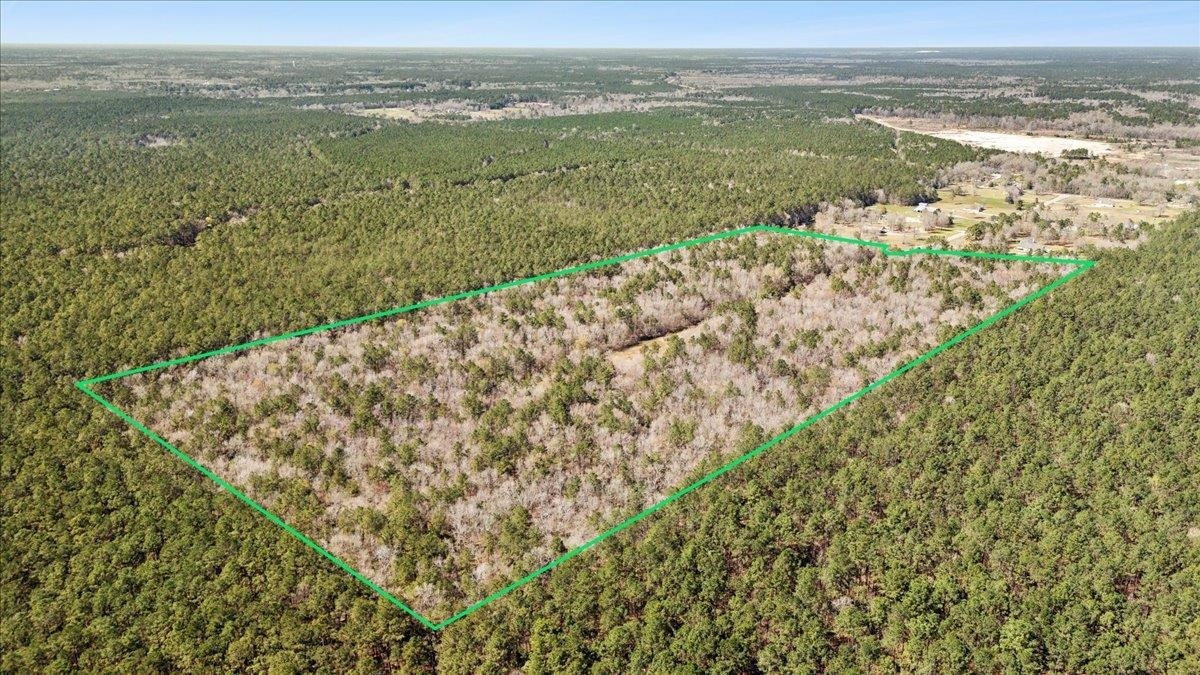 Property Photo: 49.795 Acres Elizabeth Lane TX 77632