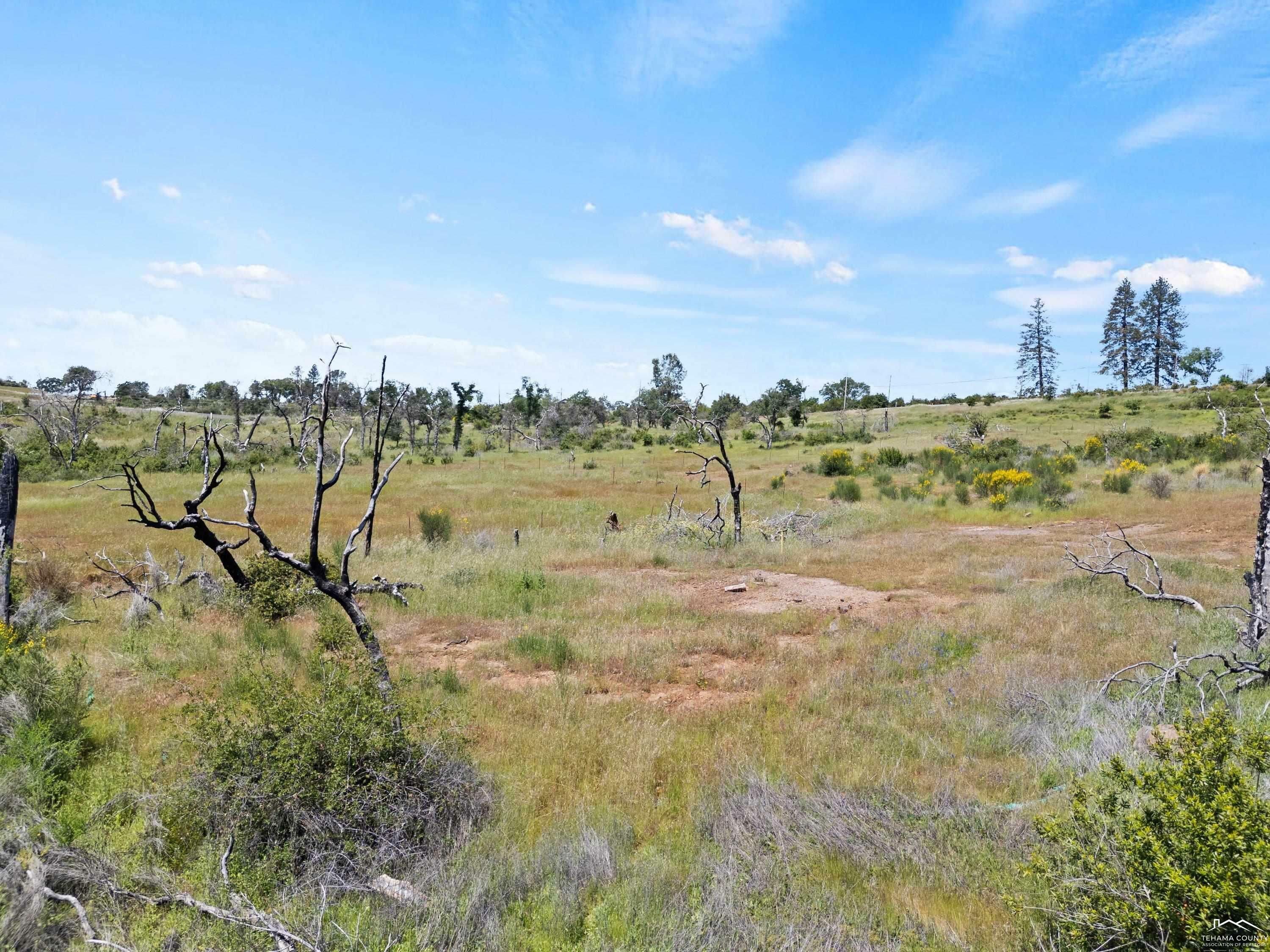Property Photo:  5200 Villa Falls  CA 95969 