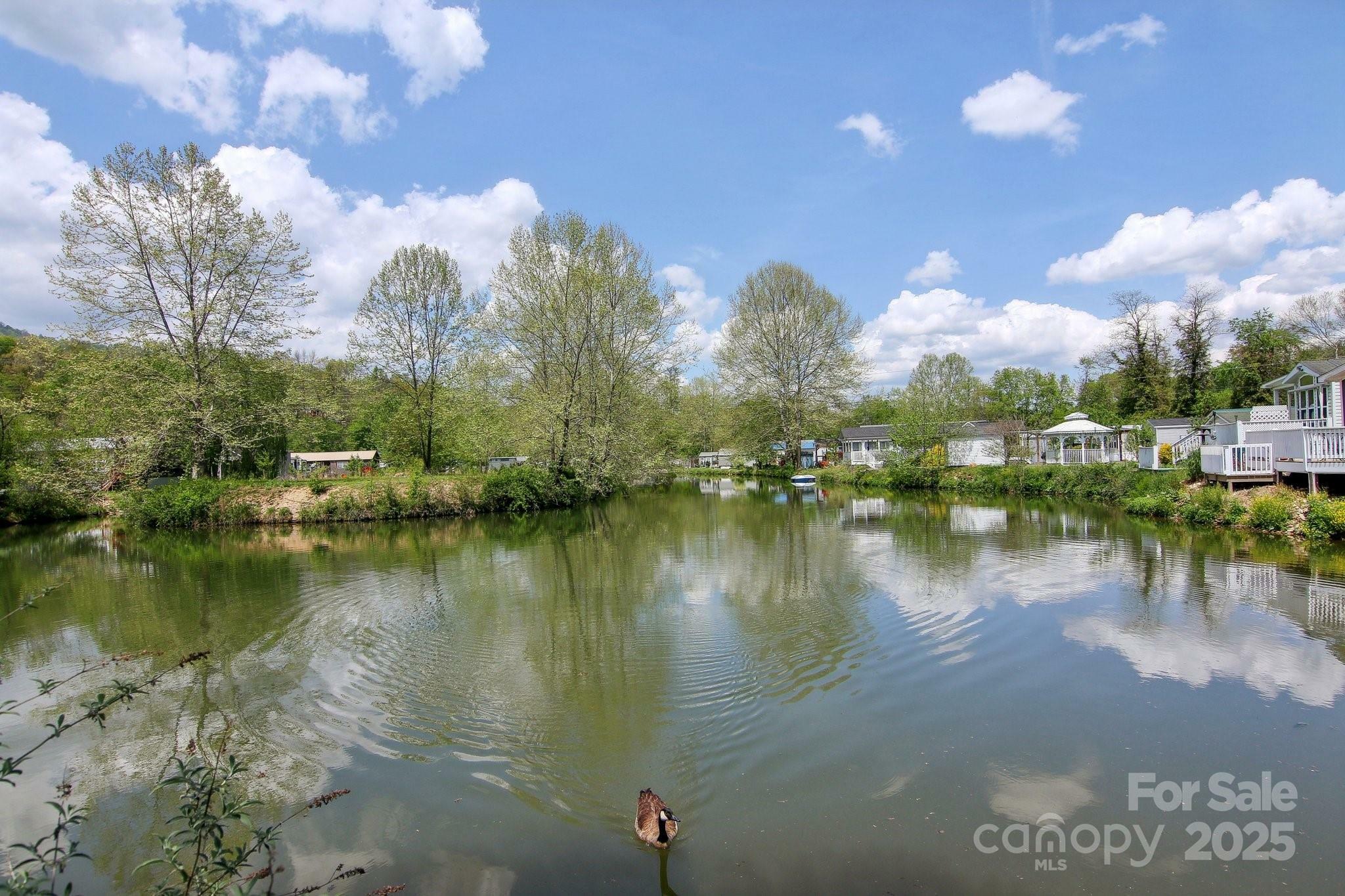 Property Photo: 222 Pike Point NC 28785