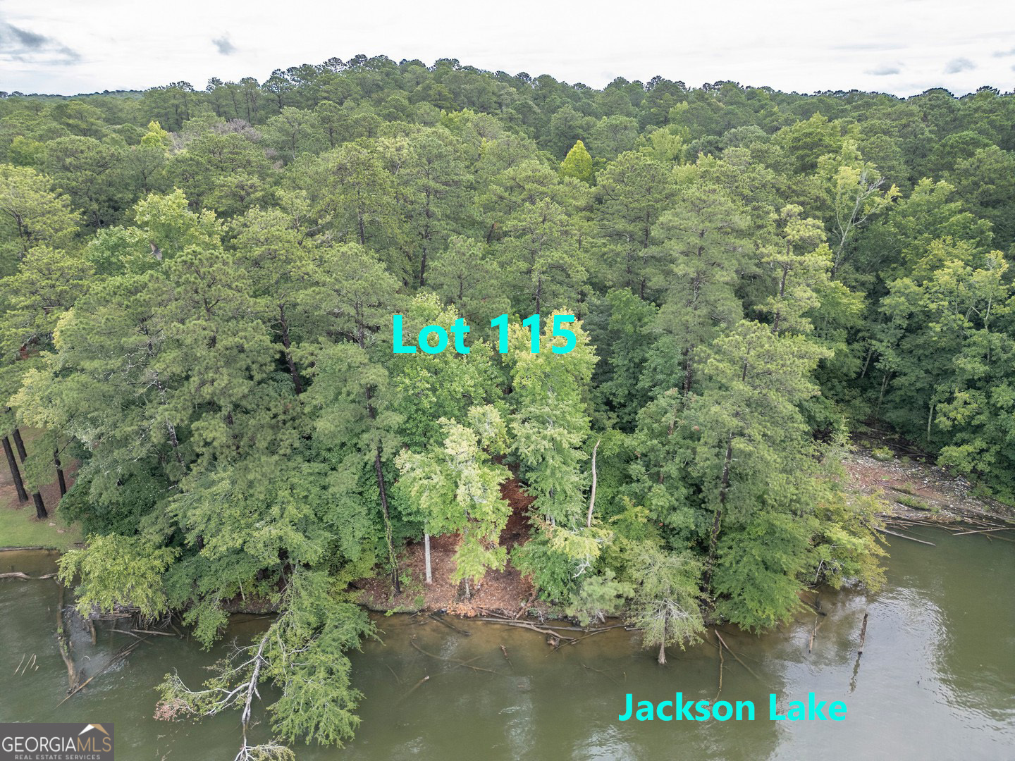 Property Photo: 0 Goldfinch Drive Lot 115 GA 31064