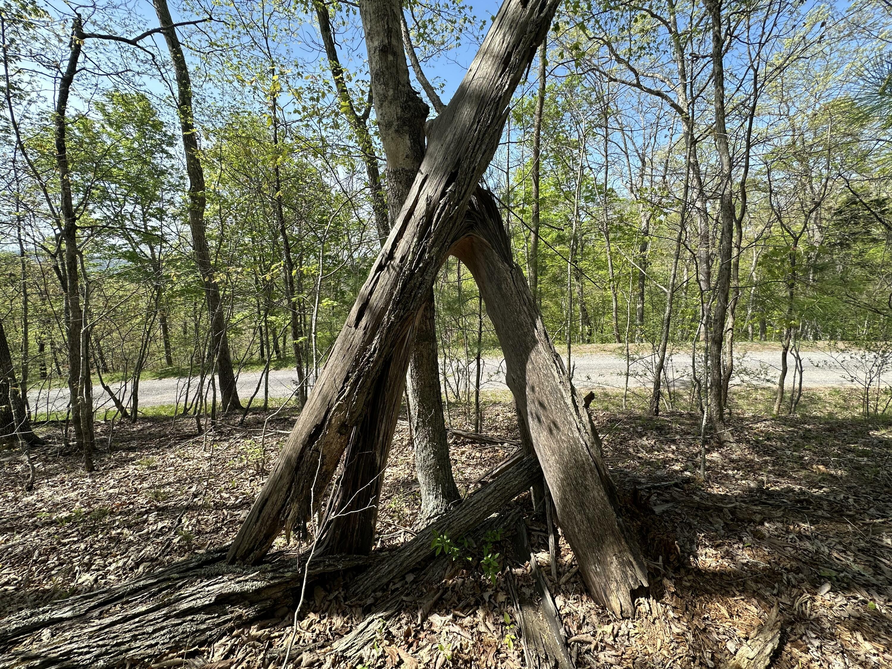 Property Photo: Highlander Trl WV 24901