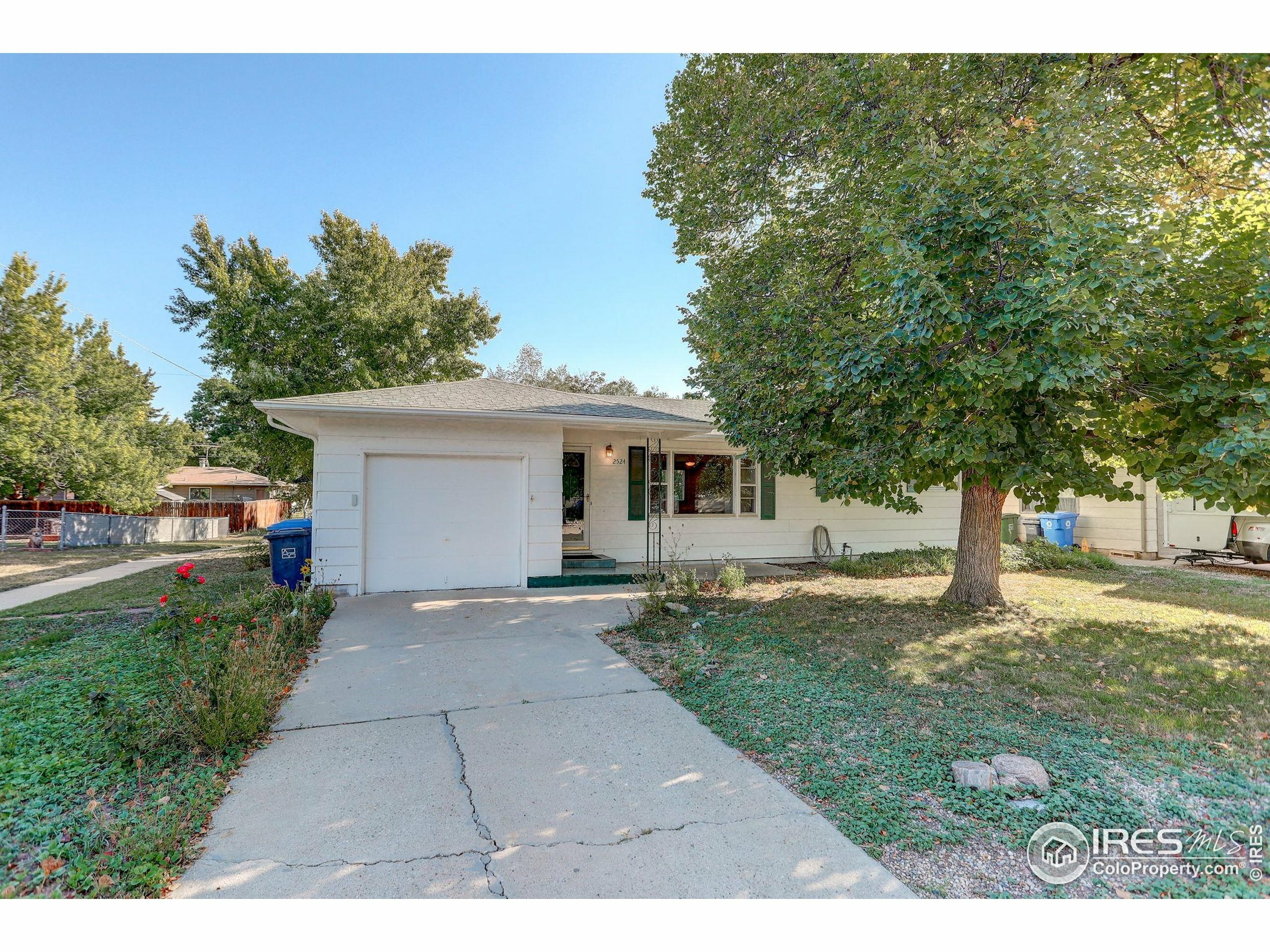 Property Photo: 2524 Spruce Dr CO 80538
