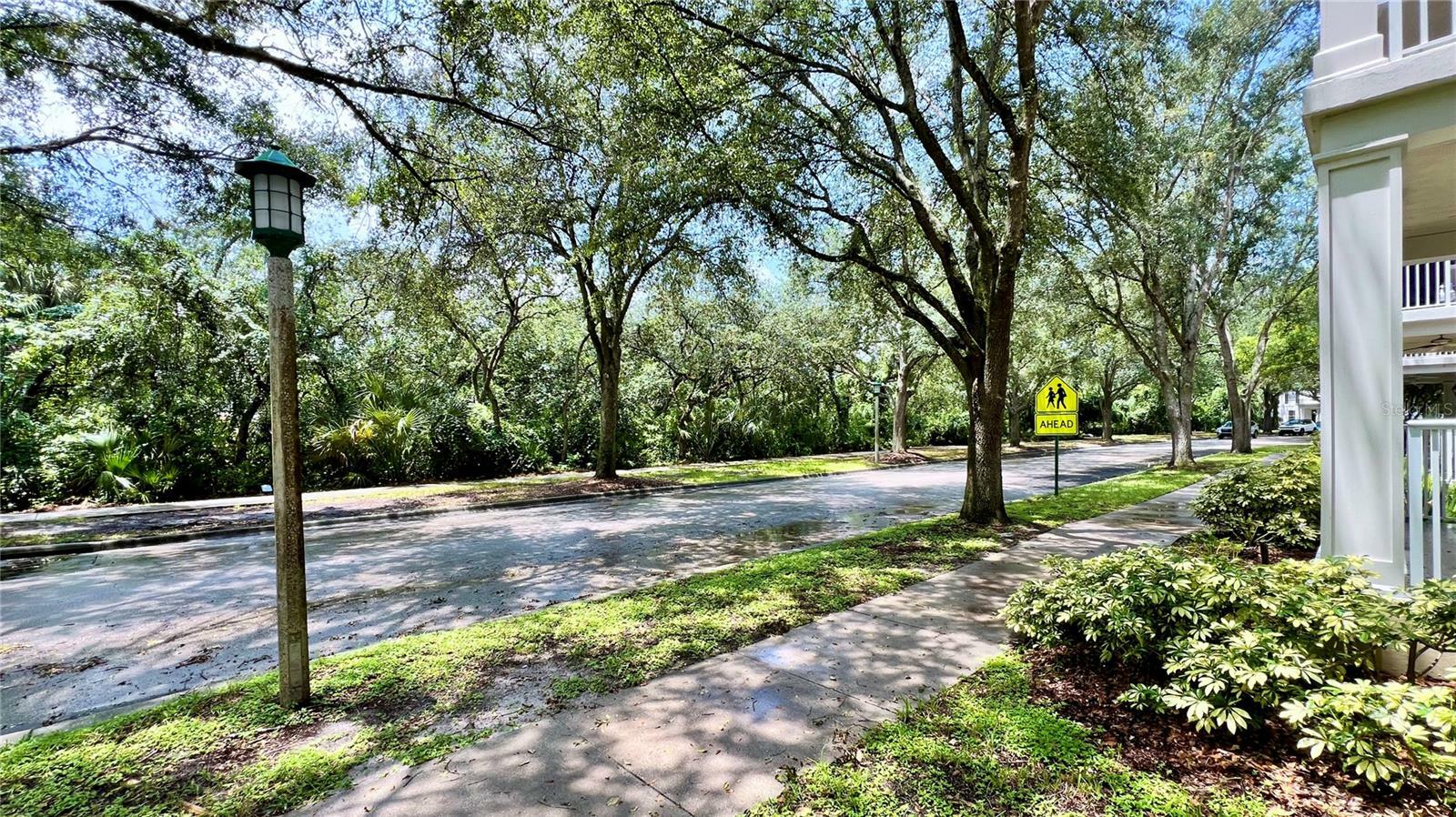Property Photo: 921 Begonia Road 302 FL 34747