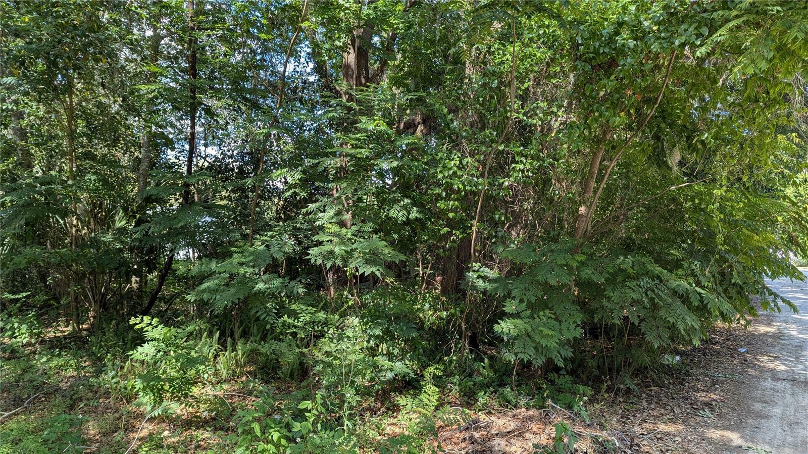 Property Photo: 2602 NE 70th Street FL 32609