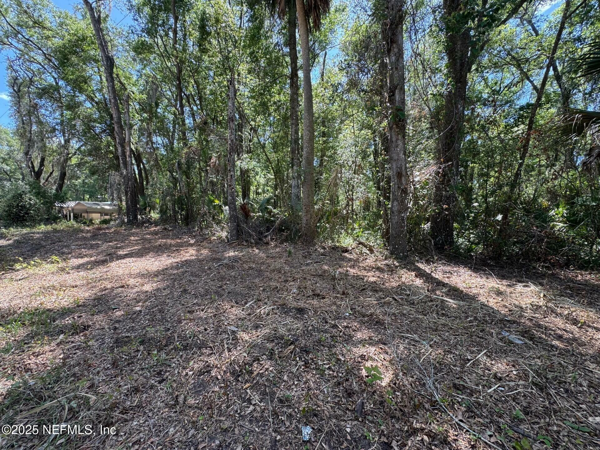 Property Photo: 109 Richmond Street FL 32189
