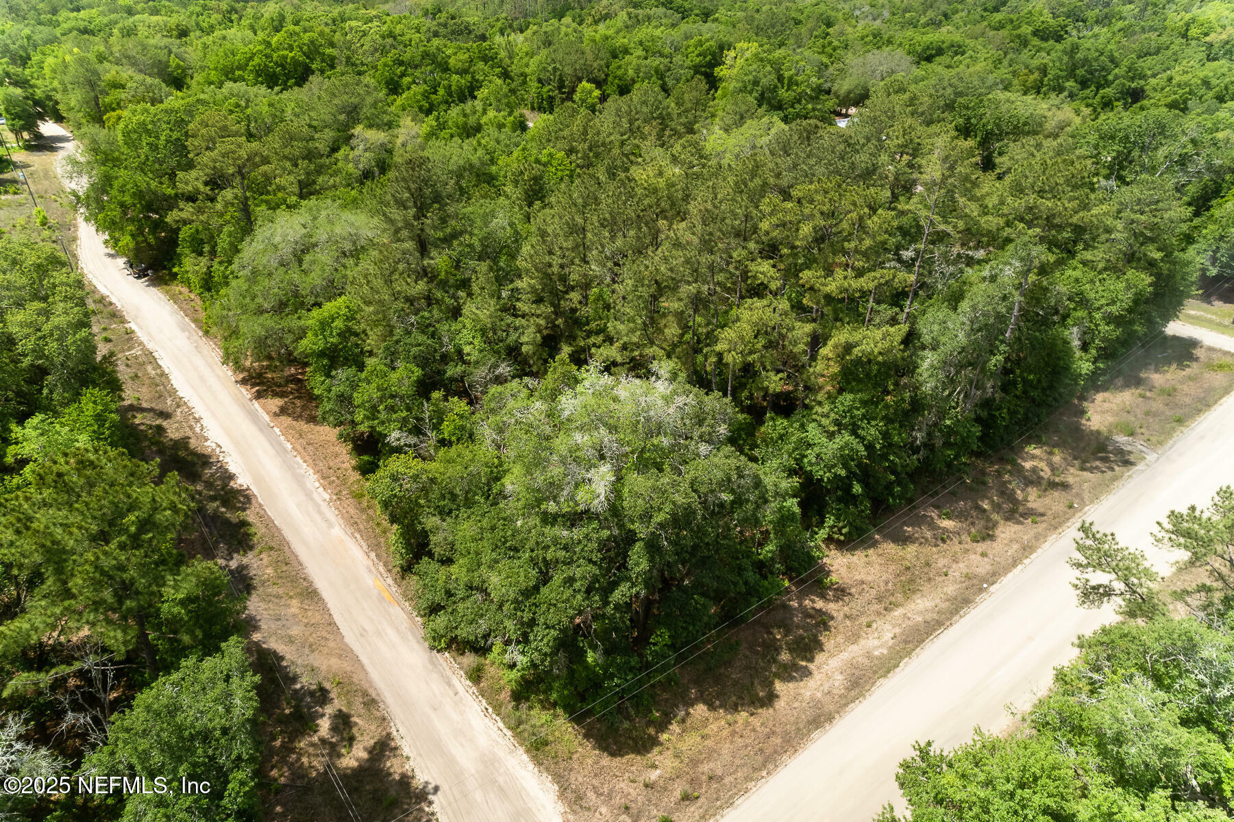 Property Photo: 0 Schaffer Street FL 32148